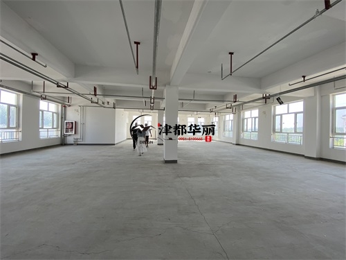 红寺堡台球厅装修设计项目|津都华丽设计